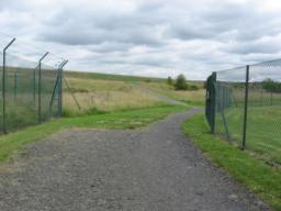 Image on trail