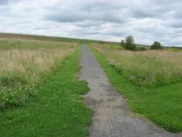 Image on trail