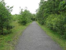 Image on trail