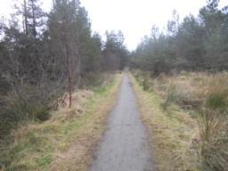 Image on trail