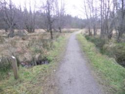 Image on trail