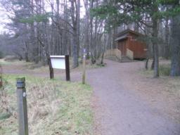 Image on trail