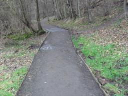 Image on trail