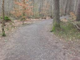 Image on trail