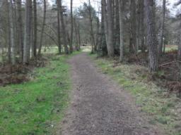 Image on trail