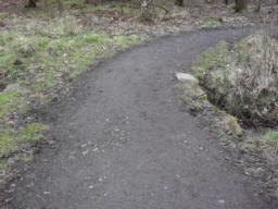 Image on trail