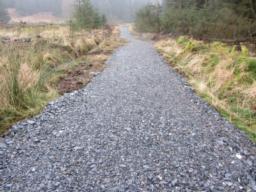 Image on trail