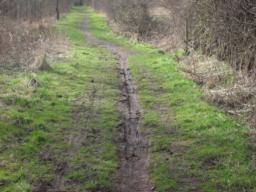 Image on trail