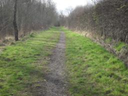 Image on trail