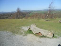 Image on trail