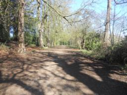 Image on trail