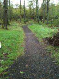 Image on trail