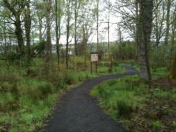 Image on trail