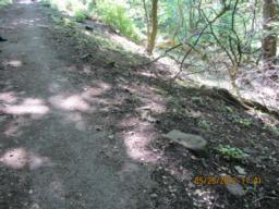 Image on trail