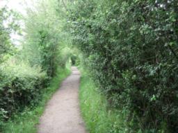 Image on trail