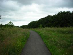 Image on trail