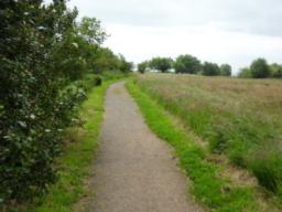 Image on trail
