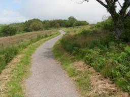 Image on trail