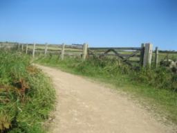 Image on trail