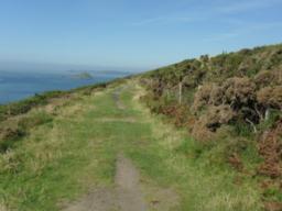 Image on trail