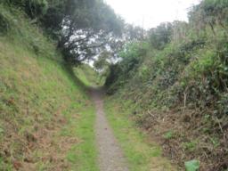 Image on trail