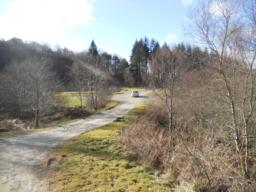 Image on trail