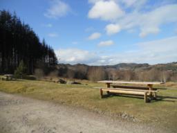 Image on trail