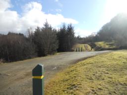 Image on trail