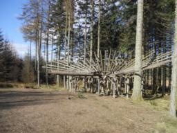 Image on trail