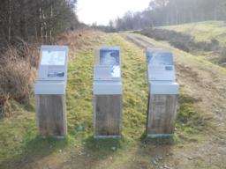 Image on trail