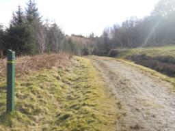 Image on trail