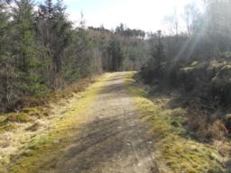 Image on trail