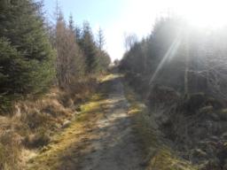 Image on trail