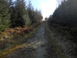 Image on trail