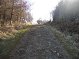 Image on trail