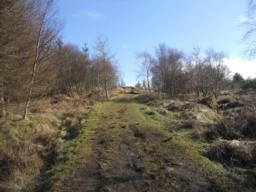 Image on trail