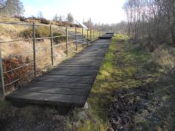 Image on trail