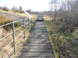 Image on trail
