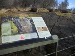 Image on trail