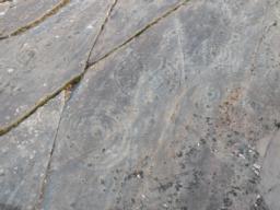 Image on trail