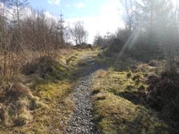 Image on trail
