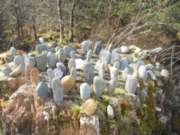 Image on trail