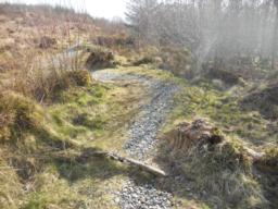 Image on trail