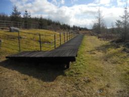 Image on trail