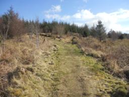 Image on trail