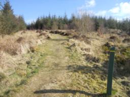 Image on trail