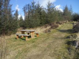 Image on trail