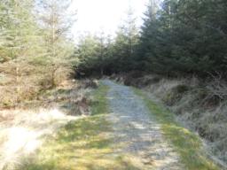 Image on trail