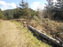Image on trail