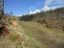 Image on trail